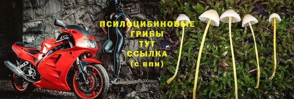соль курить ск Дмитров