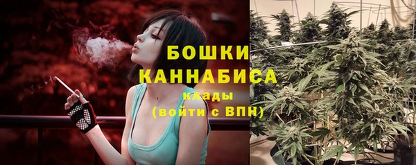 герыч Дмитриев