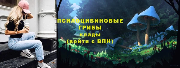 соль курить ск Дмитров