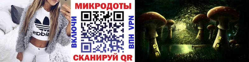Галлюциногенные грибы Psilocybine cubensis  Купить где  Каменск-Уральский 
